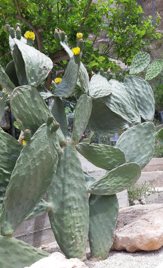 Cuocciu Ri Zuccuru Hotel Scicli Buitenkant foto